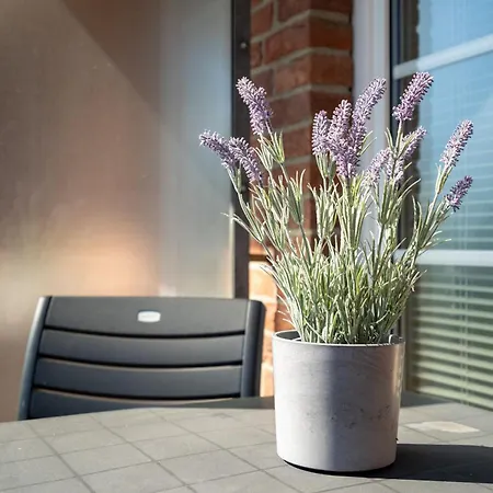 Apartment Fliedergang 2 Seebrise Schonberger Strand